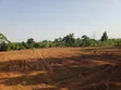 50x100ft Plot for Sale in Gayaza Busika - 1