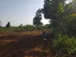 50x100ft Plot for Sale in Gayaza Busika - 2