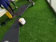 Square Meter Grass Carpet - Brand New - 3