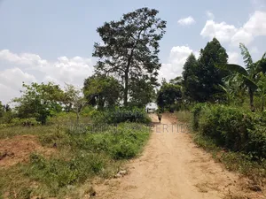 1.37 Acres Land for Sale, Gayaza Nakasajja