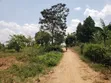 1.37 Acres Land for Sale, Gayaza Nakasajja - 1