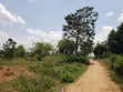 1.37 Acres Land for Sale, Gayaza Nakasajja - 2