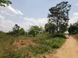 1.37 Acres Land for Sale, Gayaza Nakasajja - 4