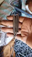 Nails 2.5"-6" for Masonry & Carpentry - 5