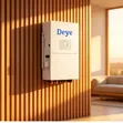 50kVA 50kW 48V Deye Hybrid 3-Phase Inverter - 1