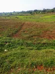 7 Acres of Mixed-Use Land for Sale in Mayuge District - 3