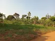 Commercial Land for Sale in Seeta-Namuganga - 2