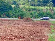 7 Acres Land on Jinja-Kamuli Highway - 3