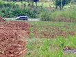 7 Acres Land on Jinja-Kamuli Highway - 4
