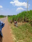 7 Acres Land on Jinja-Kamuli Highway - 5