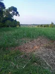 11 Acres Fertile Land for Sale in Mayuge - 2