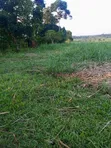 11 Acres Fertile Land for Sale in Mayuge - 4