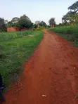 11 Acres Fertile Land for Sale in Mayuge - 5