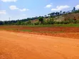 10 Acres for Urgent Sale in Jinja - 1