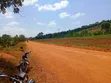 10 Acres for Urgent Sale in Jinja - 2