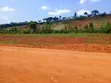 10 Acres for Urgent Sale in Jinja - 4