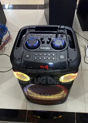 Ailipu Portable Party Bass Bluetooth Speaker with Karaoke Microphone