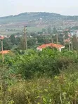 Kitende Prime Land Deal - 100x100 Ft with Ready Title - 1