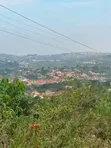 Kitende Prime Land Deal - 100x100 Ft with Ready Title - 2