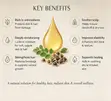 Moringa Oleifera Oil - 100% Pure Cold-Pressed - 2