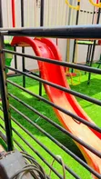 Artificial Grass Carpets - 2