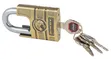 Mindy Zinc Alloy Special Key Padlock with Leopard Design - 4