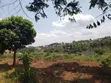 2 Acres Land for Sale, Gayaza Nakwero (800m) - 3