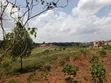 2 Acres Land for Sale, Gayaza Nakwero (800m) - 5