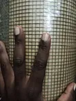 Coffee Drying PVC Coated Wire Mesh - 1