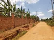 1 Acre Residential Land for Sale in Gayaza Nakwero - 2