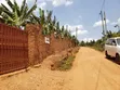 1 Acre Residential Land for Sale in Gayaza Nakwero - 3