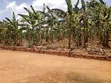 1 Acre Residential Land for Sale in Gayaza Nakwero - 4