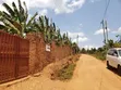 1 Acre Residential Land for Sale in Gayaza Nakwero - 5