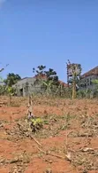 Plot for Sale on Entebbe Road Near St Mary's Kitende - 2