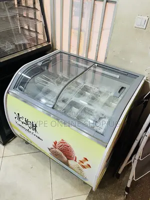 Brand New Ice Cream Deep Freezer Refrigerator