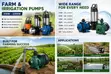 Electric Farm & Irrigation Water Pumps (550W-2200W) - 3