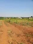 Busiika Estate Plots for Sale - UGX 19M - 3