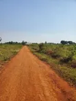 Busiika Estate Plots for Sale - UGX 19M - 5