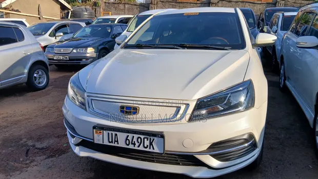 Geely Emgrand EV Pro 2020 White - 1