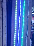 LED Strip Lights - Color Changing Neon - 1