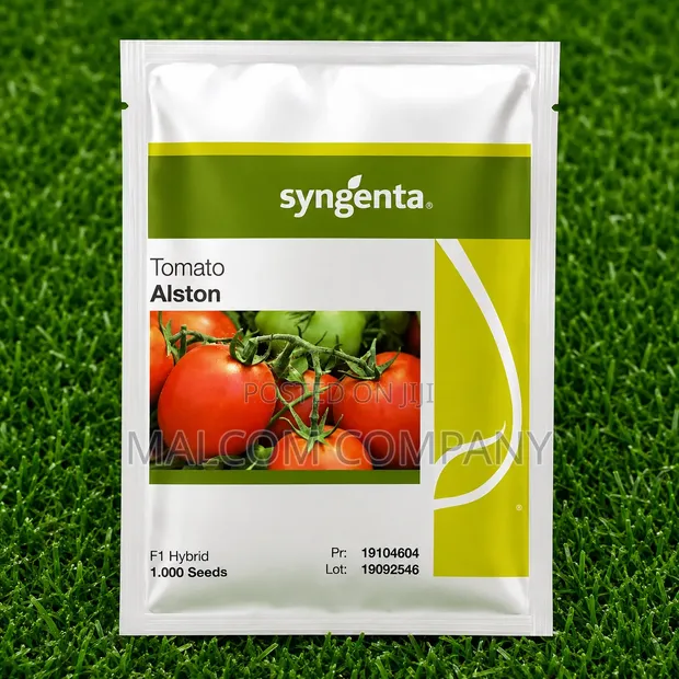 Syngenta Alston F1 Hybrid Tomato Seeds - 1,000 Seeds - 1