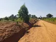 2 Acres Residential Land for Sale in Buwambo Lugo - 1