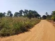 2 Acres Residential Land for Sale in Buwambo Lugo - 4