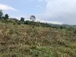12 Acres of Kibanja Land for Sale in Wakiso Busunju - 1
