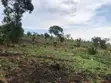 12 Acres of Kibanja Land for Sale in Wakiso Busunju - 2
