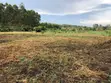 12 Acres of Kibanja Land for Sale in Wakiso Busunju - 3