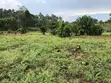 12 Acres of Kibanja Land for Sale in Wakiso Busunju - 4