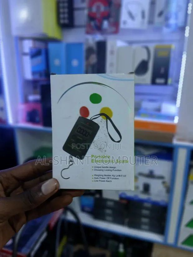 Portable Electronic Weighing Scale - 1