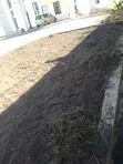Elegant Gardening & Landscaping Services - 2
