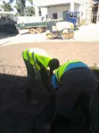 Elegant Gardening & Landscaping Services - 3